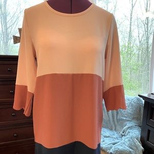 Boutique 3 Color Shift Dress Size S